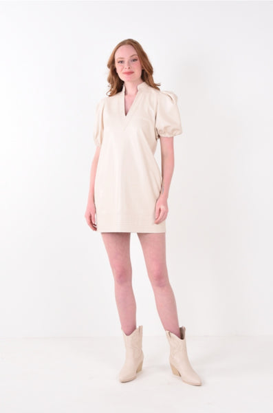Hampton Leather Mini Dress